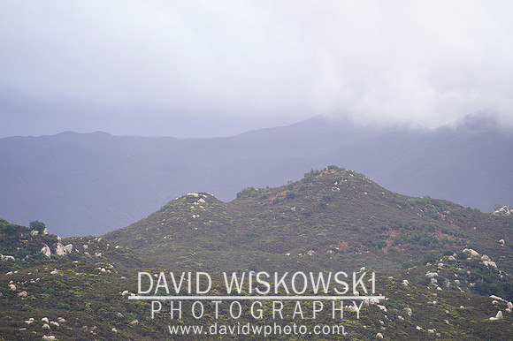_DSC8715